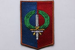 Divisie Gevechtssteun Commando