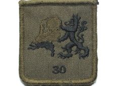 30 Nationale Reserve (NATRES) Bataljon