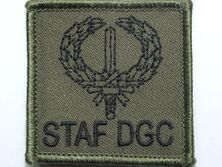 Staf Divisie Gevechtssteun Commando