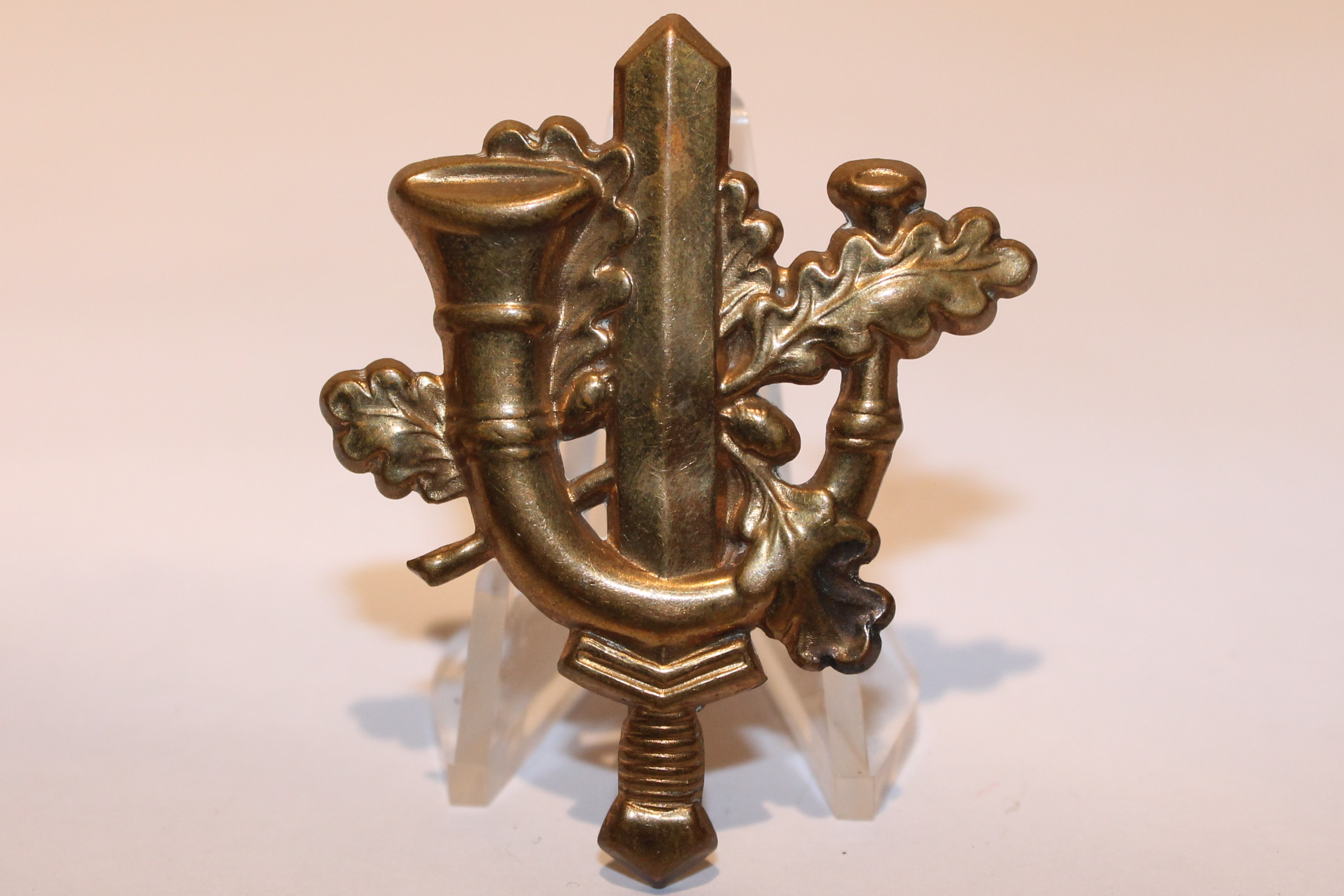 Regiment Limburgse Jagers.