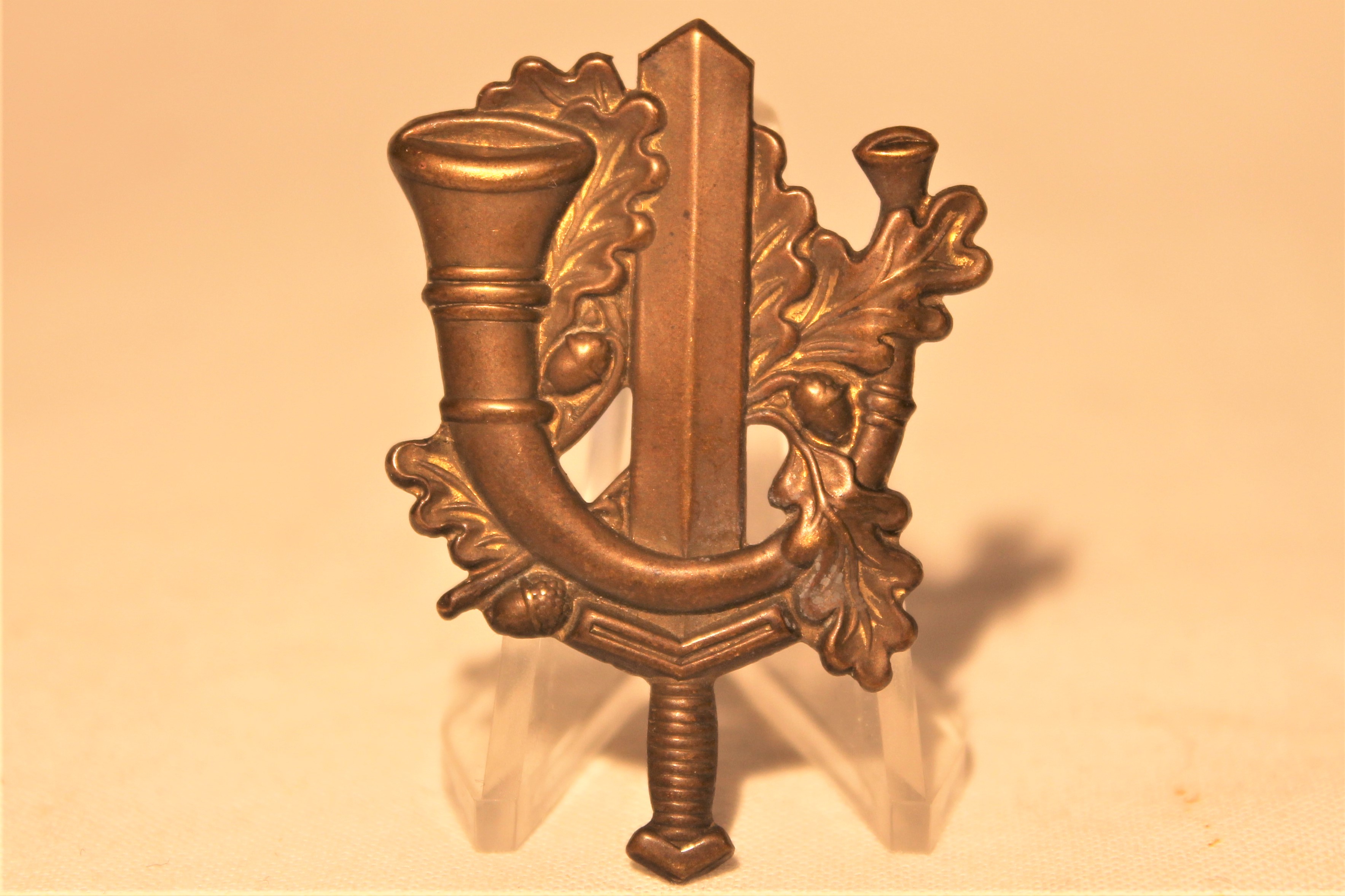 Regiment Limburgse Jagers.