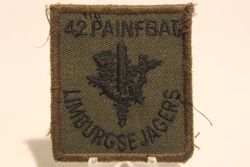 42 Pantser Infanterie Bataljon Limburgse Jagers BLJ