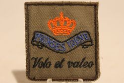 17 Pantser Infanterie Bataljon Garde Fuseliers Prinses Irene GFPI