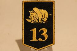 13e Gemotoriseerde Brigade / 13e Lichte Brigade